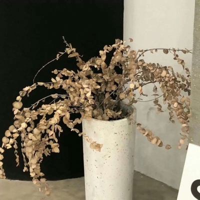 余干福瑞交流群